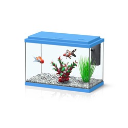 Comprar Funnyfish 35 Kit Azul - Loropark