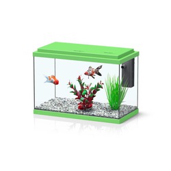 Comprar Kit Funnyfish 35 Verde - Loropark