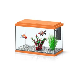 Comprar Funnyfish 35 Kit Orange - Loropark