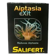 Comprar Salifer Taptasia Salida - Loropark
